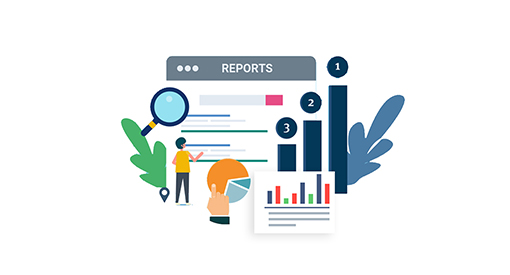 Field Sales Employee Productivity Report Software